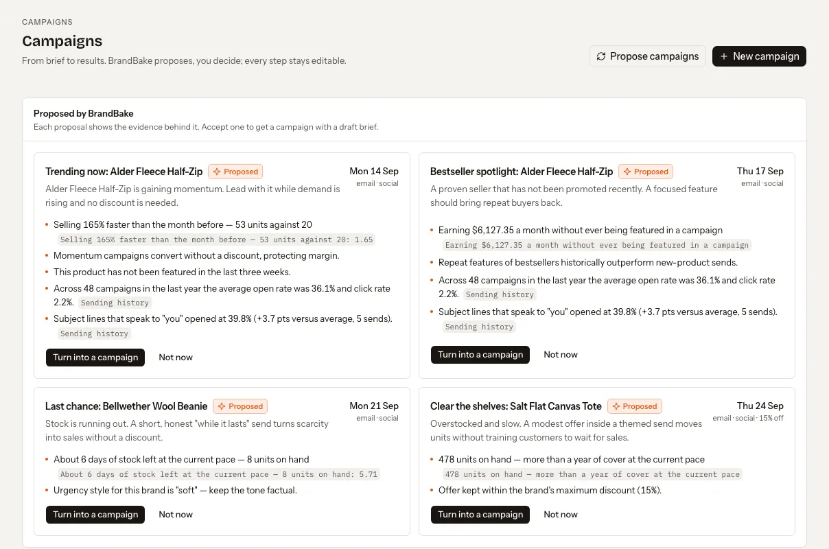 Campaign proposals with the evidence behind each one: sales velocity, stock cover and subject-line results.
